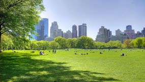 在纽约的中央公园宽阔的绿色草坪与曼哈顿的地平线在距离清澈的蓝天下