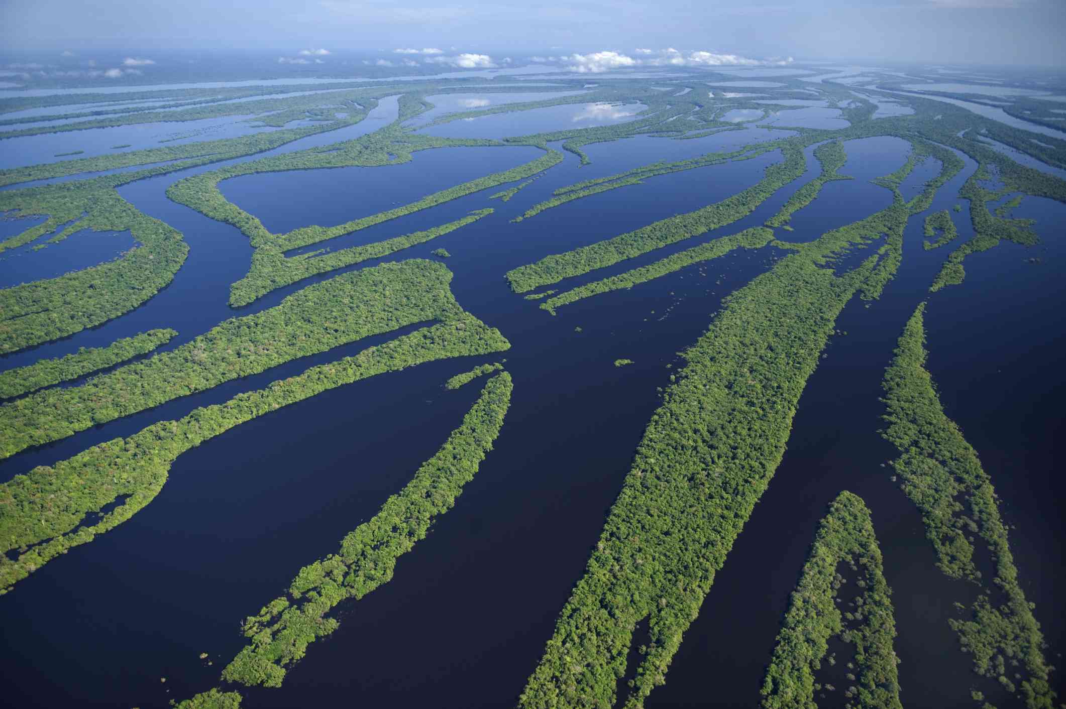 亚马逊河的鸟瞰图，河水水位高，在河中形成了岛屿。＂width=