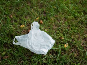 草地上的白色塑料袋