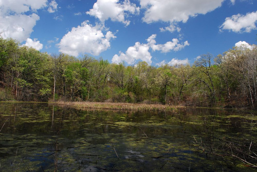 威斯康星州自然保护区第66号的一个坑洼湖