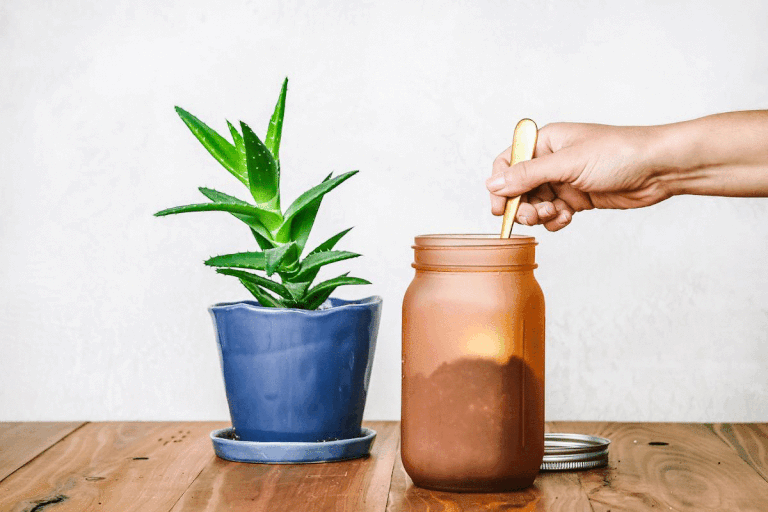 手添加植物食物从棕色玻璃罐芦荟室内植物GIF