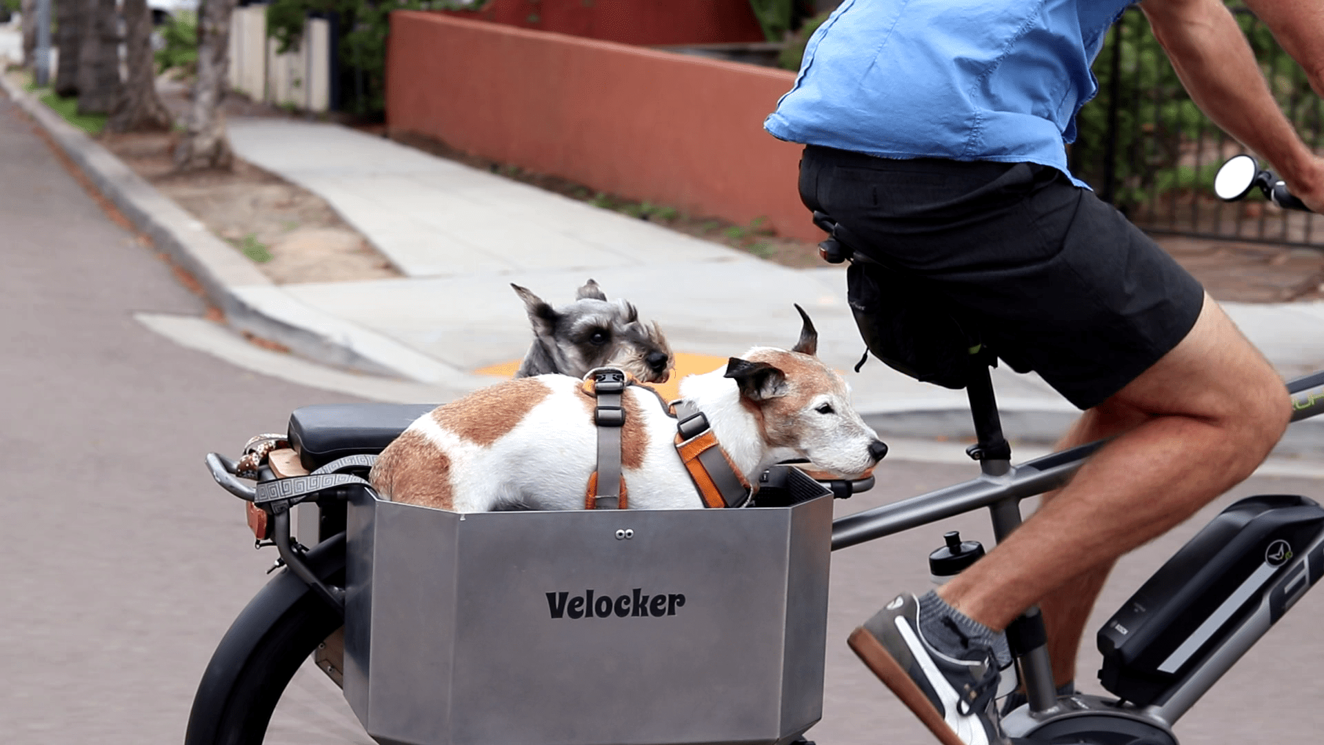 Velocker