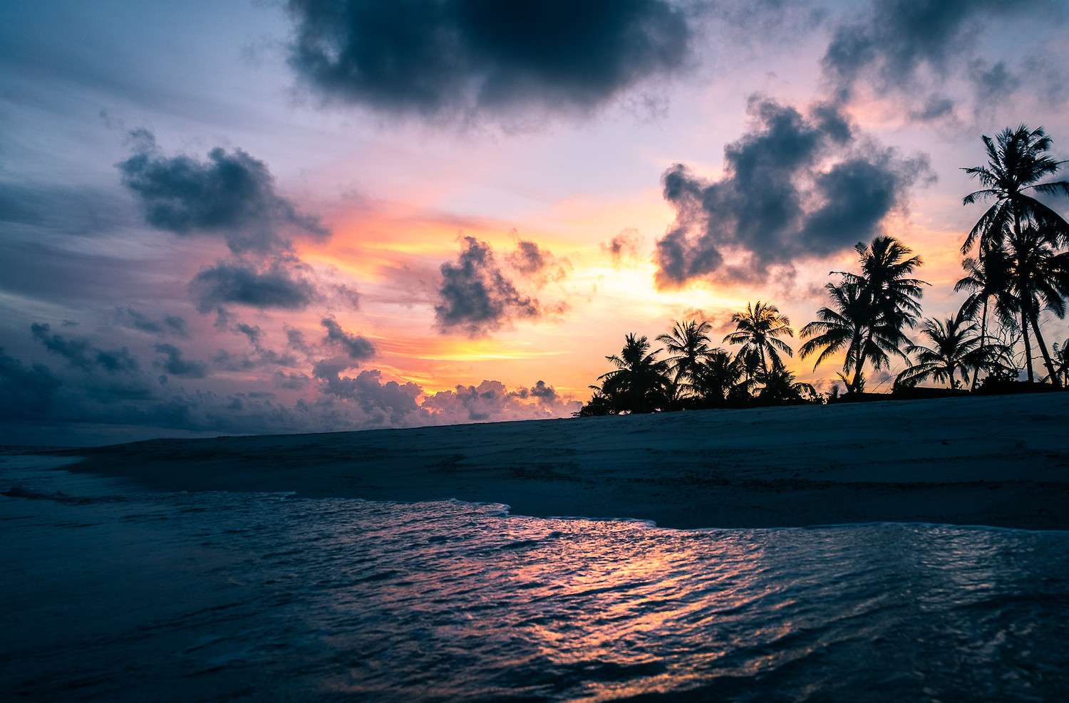夕阳西下，马尔代夫海滩上棕榈树的剪影