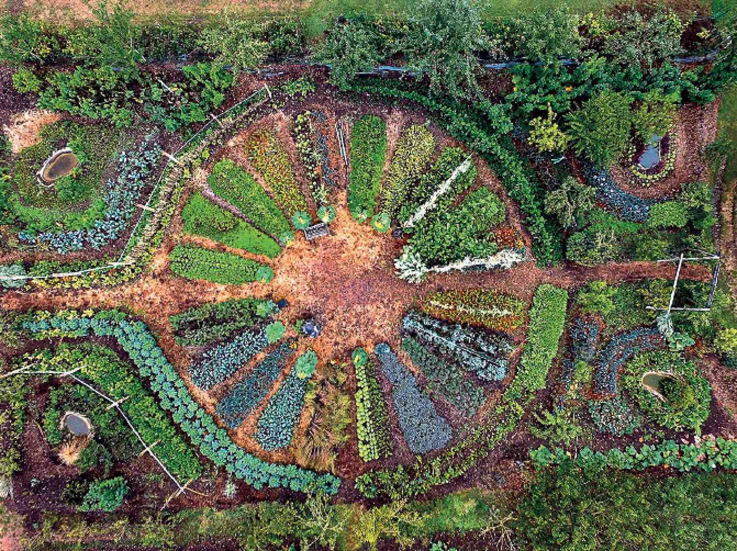 曼陀罗形状的美丽圆形花园