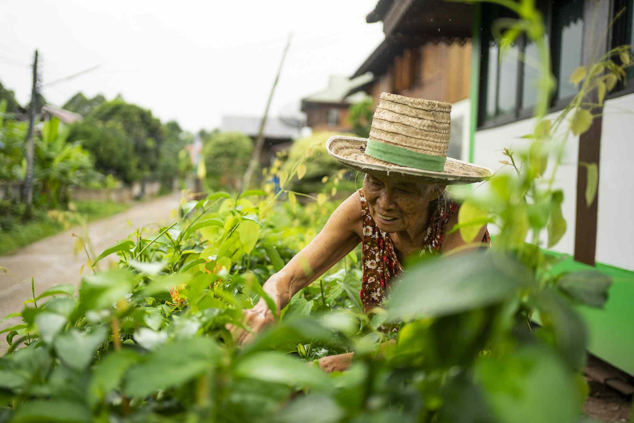 一个亚洲老年女子花园，戴着篮子编织帽子。