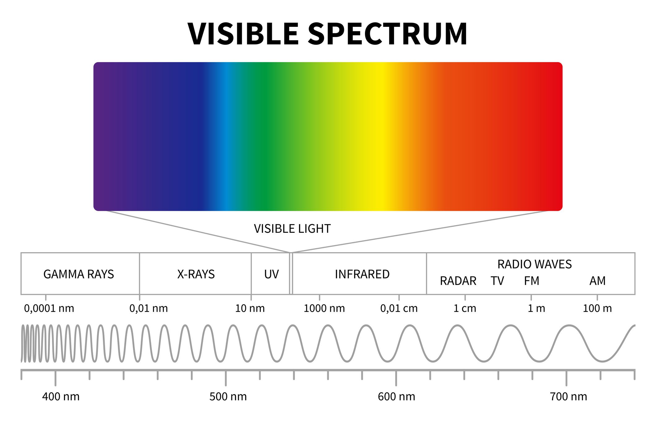 电磁光谱和光的各种波长的插图“width=