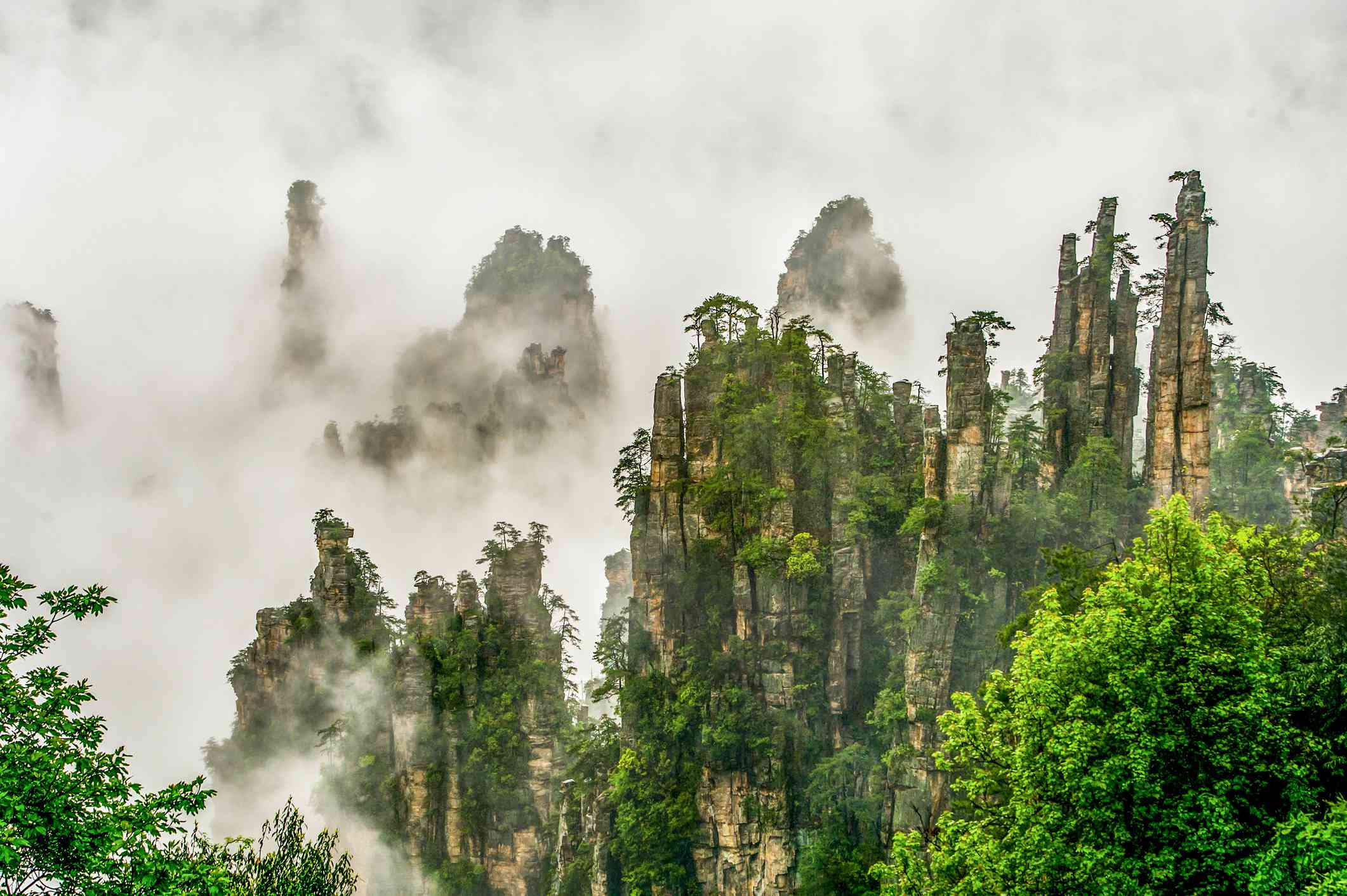 参差不齐的高耸的岩层上和周围生长着树木，都被雾包围着