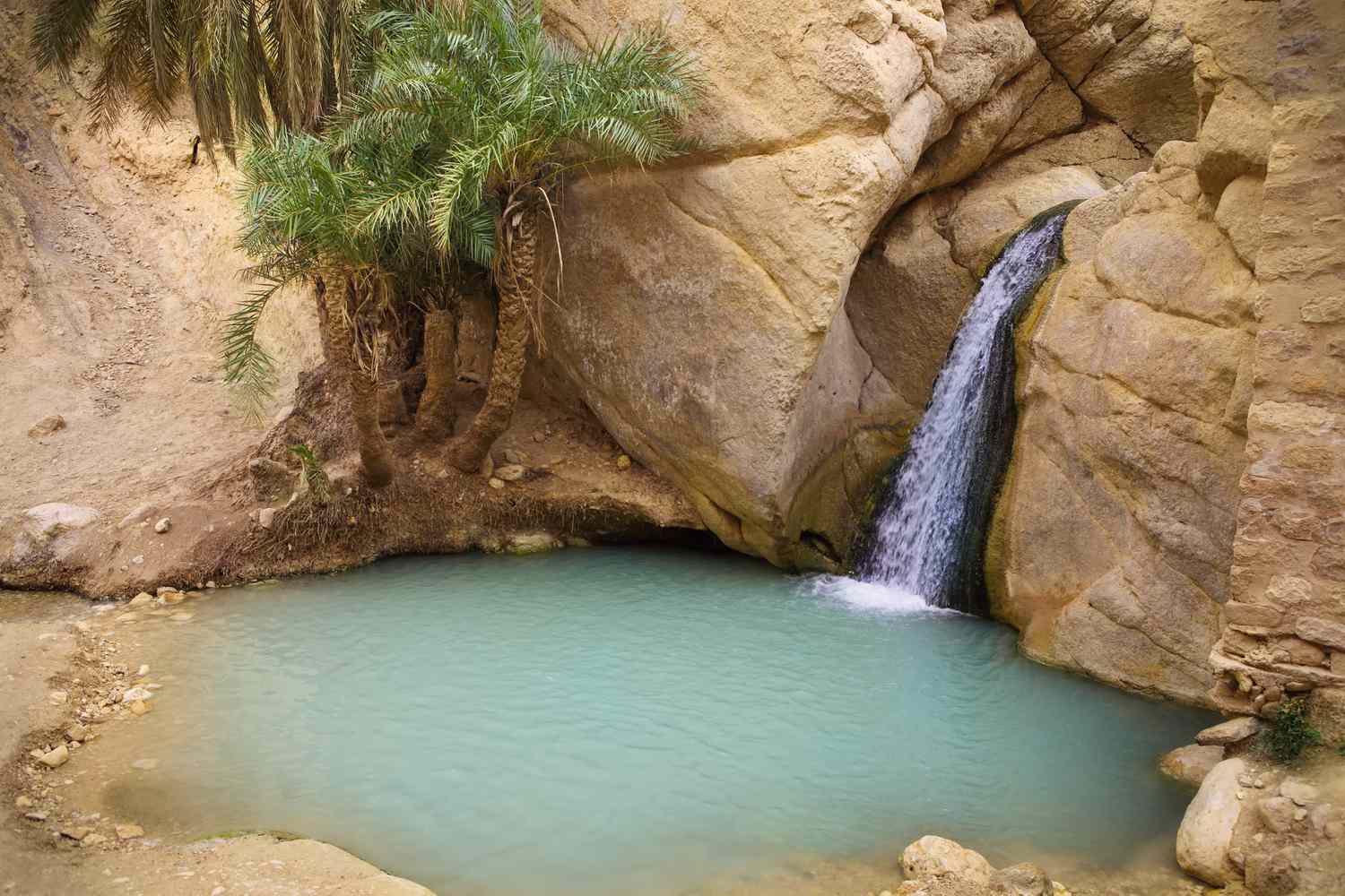 瀑布流入池塘剪切岩石和棕榈树环绕的山Chebika的绿洲,突尼斯,非洲