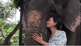 Sangita Iyer和大象“width=