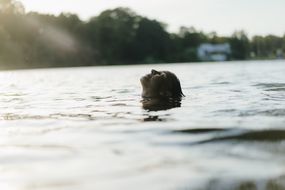 女人漂浮在湖中