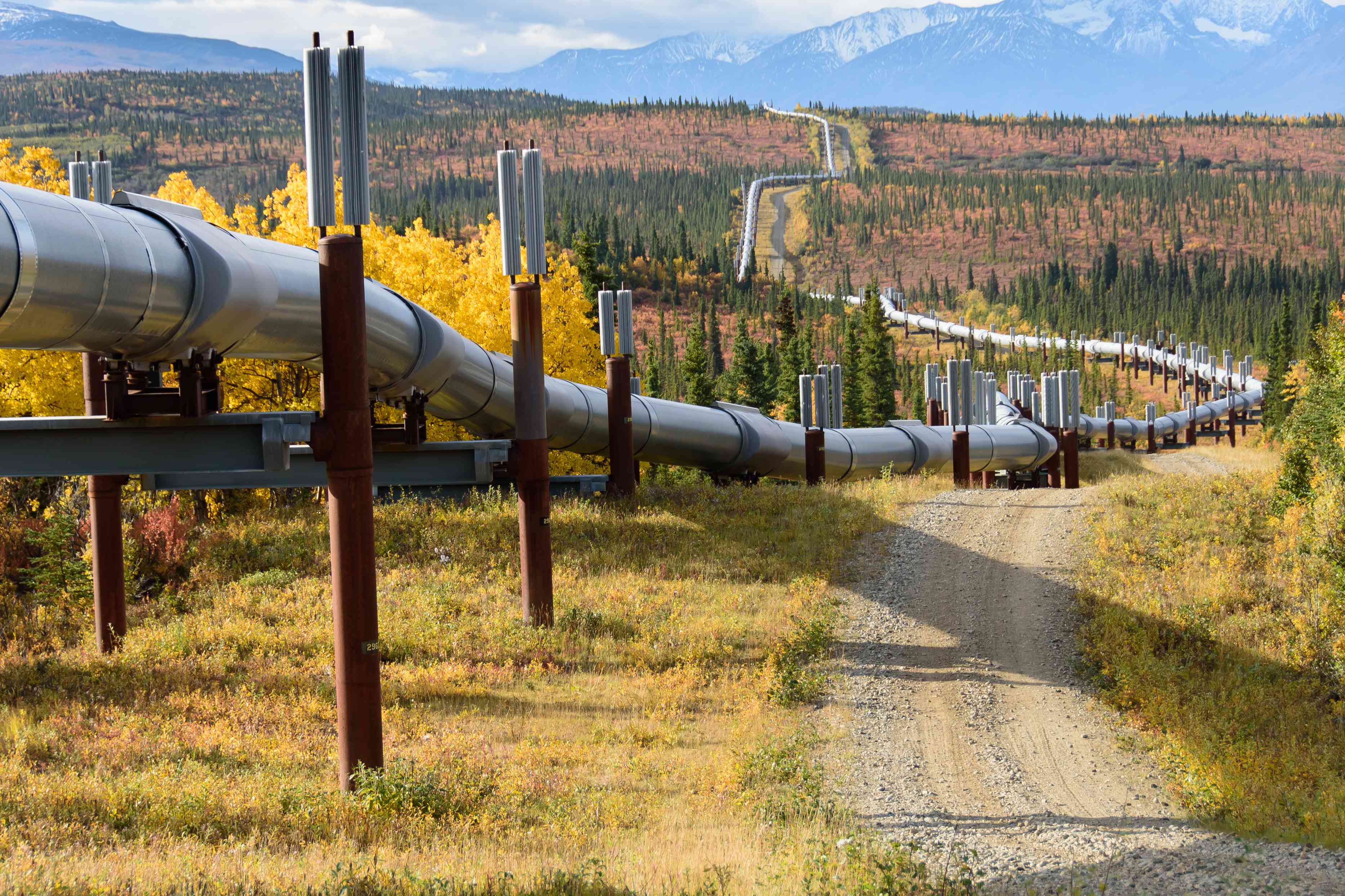 横跨阿拉斯加的输油管道穿过阿拉斯加的秋天森林，以山脉为背景。＂width=