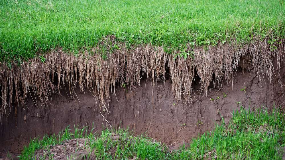 古老的农业实践,比如over-plowing通过水土流失导致土壤流失。