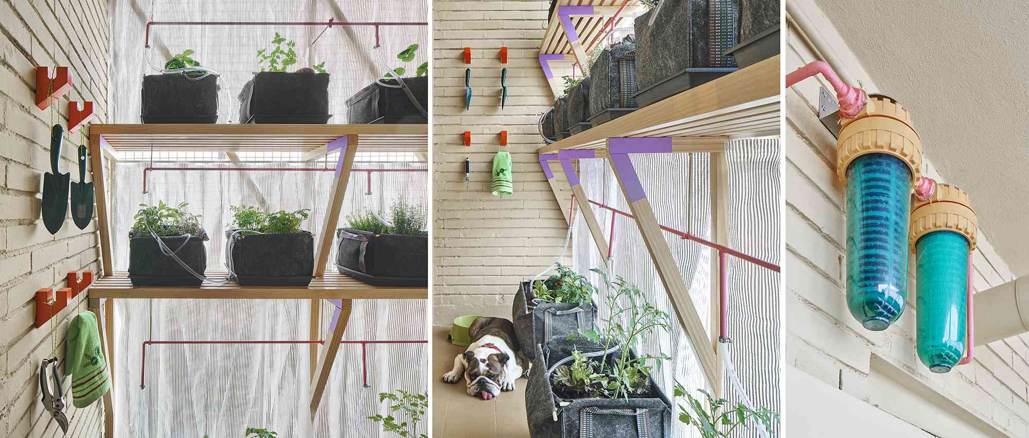 小型公寓改造马德里Husos建筑事务所的垂直花园