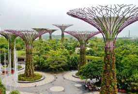 新加坡海湾花园的超级树林展示了巨大的彩色太阳能树在植物设置。＂width=