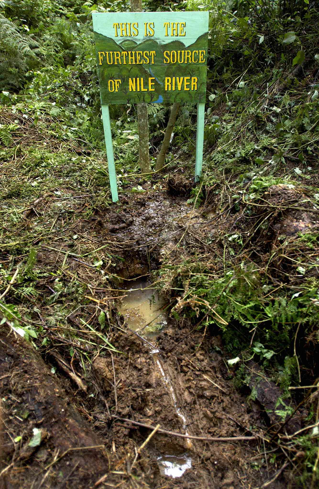 卢旺达雨林中尼罗河的源头